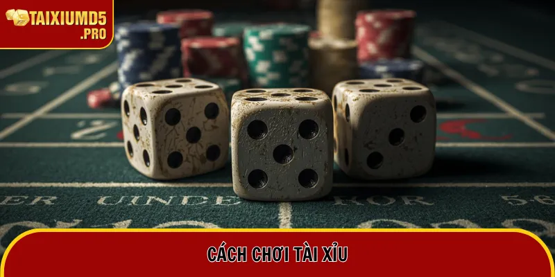 Cách Chơi Tài Xỉu - Tổng Hợp Luật Chơi Sicbo Chi Tiết 1 Cách Chơi Tài Xỉu - Tổng Hợp Luật Chơi Sicbo Chi Tiết