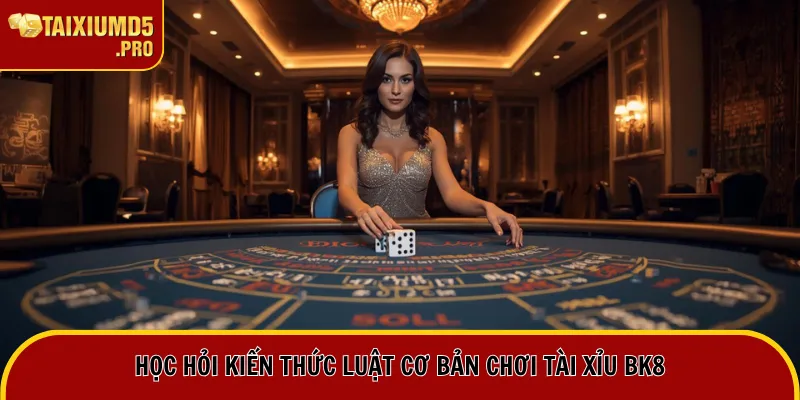 Tài Xỉu BK8 - Không Gian Cá Cược Xí Ngầu Chuẩn Quốc Tế 3 Học hỏi kiến thức luật cơ bản chơi Tài Xỉu BK8