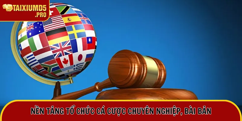 Nhà Cái Net88 | Review Tất Tần Tật Về Nền Tảng Cá Cược 2 Nền tảng tổ chức cá cược chuyên nghiệp, bài bản